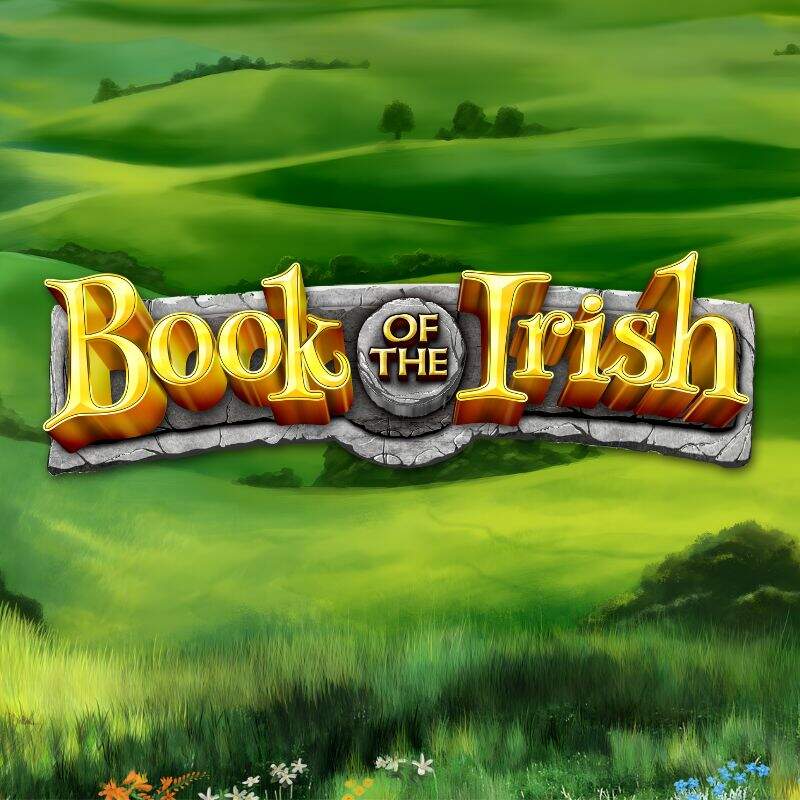 Book of the Irish