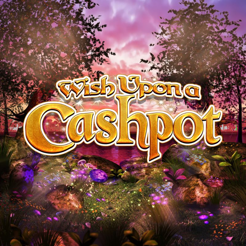 Wish Upon A Cashpot