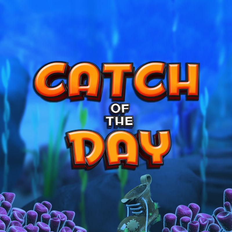 Catch of the Day