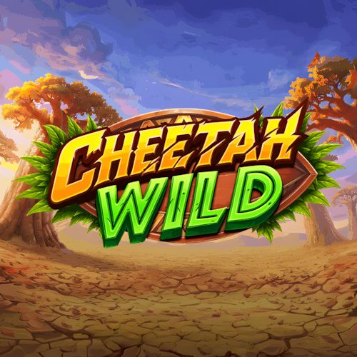 Cheetah Wild